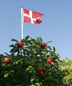 [Translate to English:] Tilmeld dig sommerfesten på Health og glæd dig til en festlig aften med kollegerne.