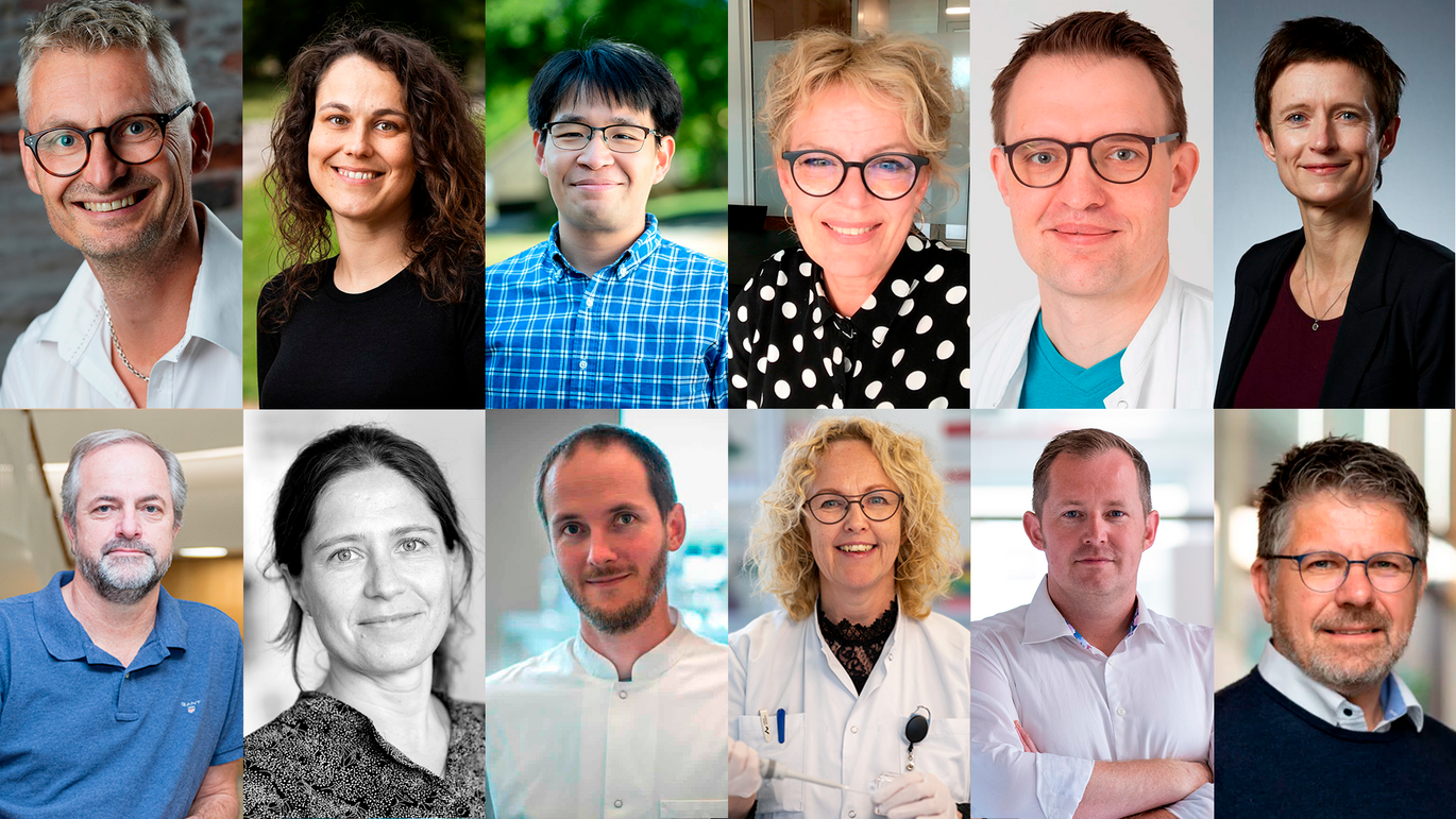 The 12 researchers receive grants under the instrument “DFF-Research Project 1.”