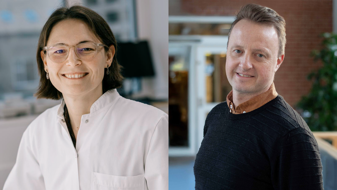 Grant recipients from Health are jointly receiving nearly DKK 4.6 million in funding from the Lundbeck Foundation for new research projects.