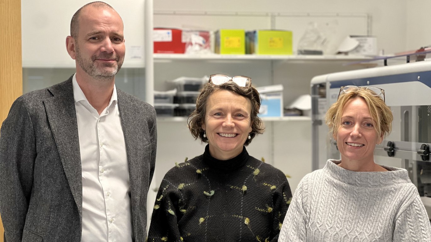 Holdet bag GENIUS er Lars Henning Pedersen fra Aarhus Universitetshospital, Ida Vogel fra Health og Lotte Hatt fra Arcedi Biotech.