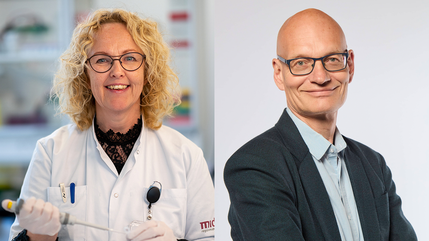 Professors Rikke Nørregaard and Henrik Birn are leading the Aarhus branch of the new European research consortium KidMED-CKM.
