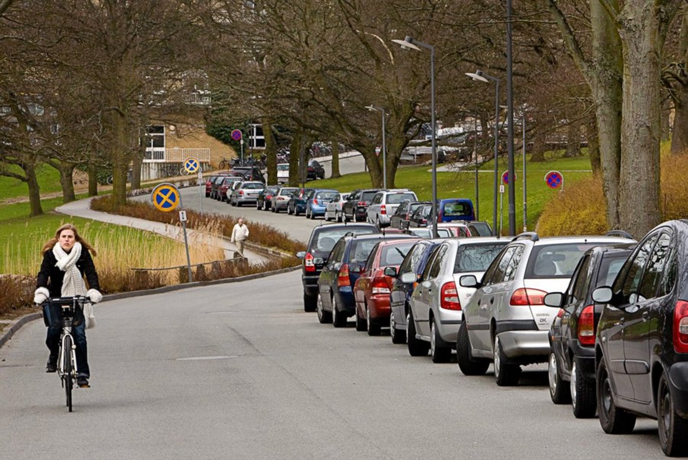 Man kan maksimalt parkere fire timer langs vejene i universitetsparken mellem kl. 7 og kl. 17. Foto: Lars Kruse/AU Kommunikation.