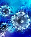 [Translate to English:] I studiet har forskerne for første gang vist, hvordan immunforsvaret bliver aktiveret, så det nedbryder bakterier.