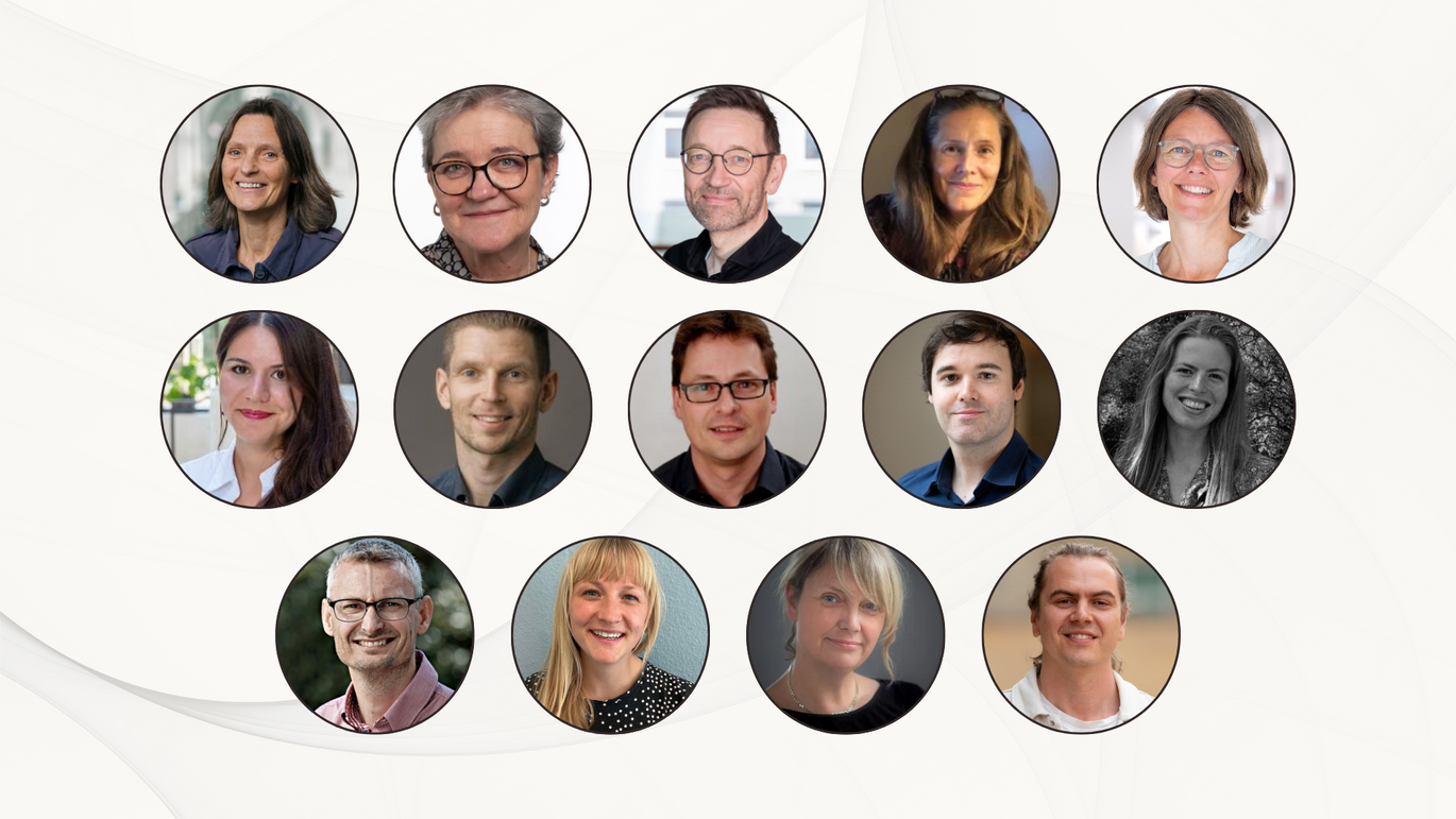 Overview of the committee’s members