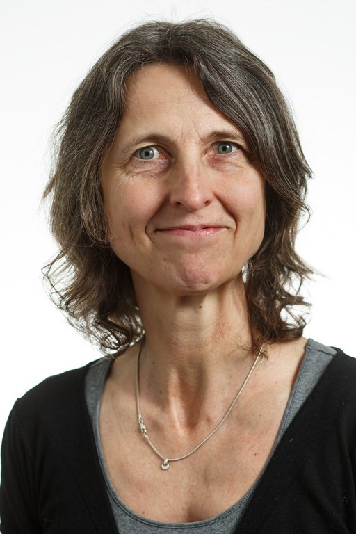 Klinisk professor Tine Brink Henriksen fra Institut for Klinisk Medicin har været forperson for Akademisk Råd siden 2020.